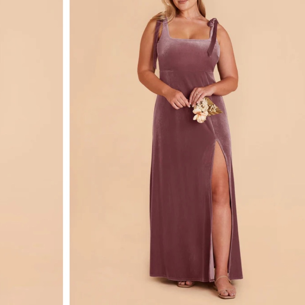 Birdy Grey Alex Dress Velvet Desert Rose